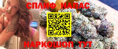 каннабис Будённовск