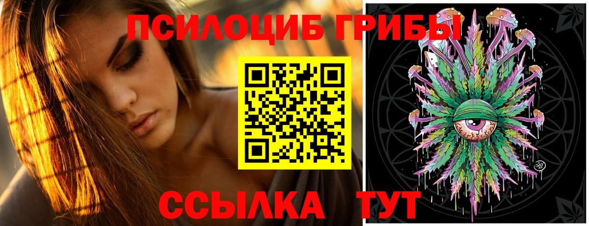 Холмск  Псилоцибиновые грибы мухоморы  Вход с VPN 